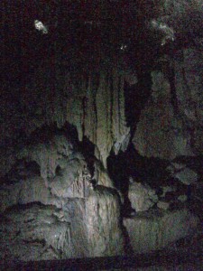 The Judge's Wig, in the deep shadow behind the foreground formation The Judge's Wig, Yarrangobilly Caves